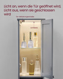 NEU Badschrank mit Beleuchtung und verstellbaren Ablagen taubengrau