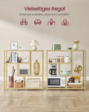 NEU Bücherregal mit 4 Ablagen transparent-blassgold 30 x 100 x 103 cm transparent