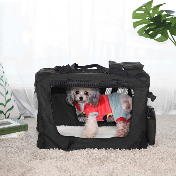 Accessoires pour chiens