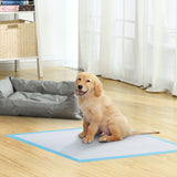 55er-Set Trainingspads 60 x 60 cm Hellblau