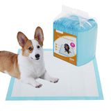 55er-Set Trainingspads 60 x 60 cm Hellblau
