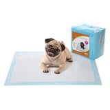 55er-Set Trainingspads 60 x 90 cm Hellblau